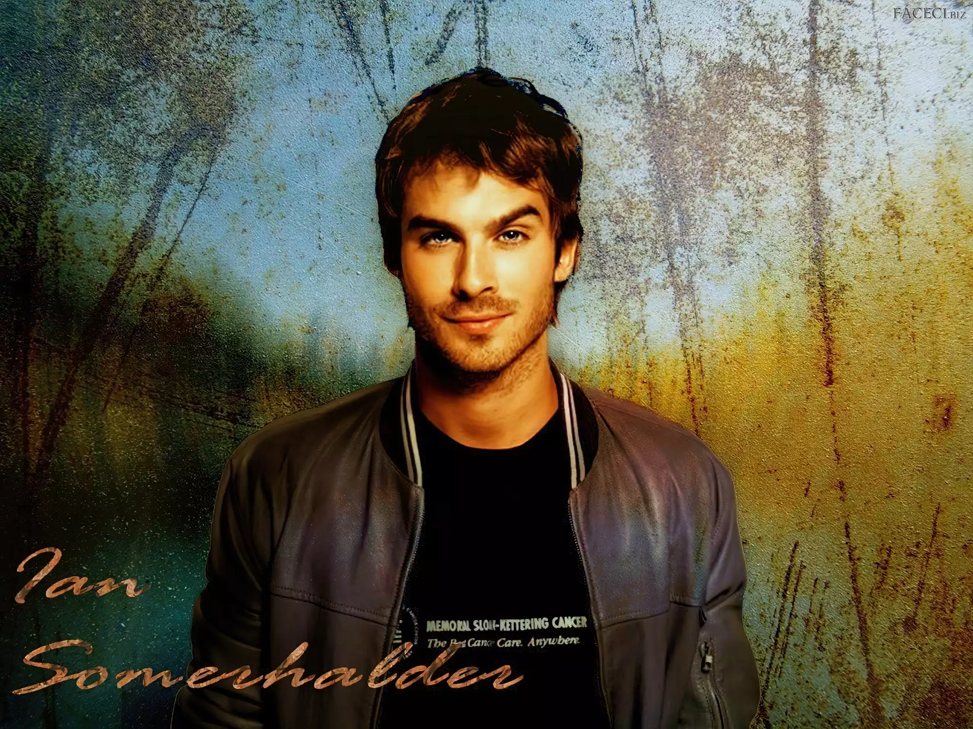 The Vampire Diaries, Ian Somerhalder, Pamiętniki wampirów