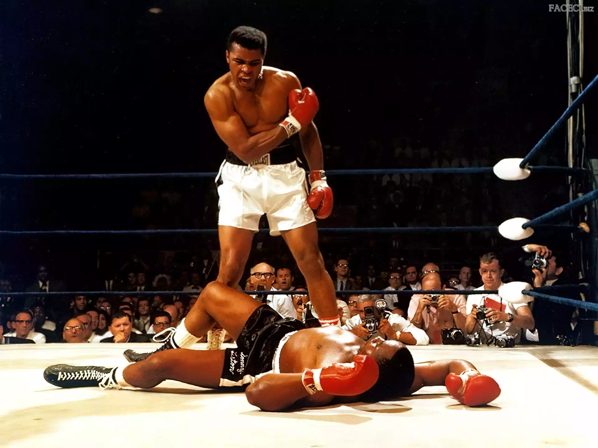Nokaut, Muhammad Ali