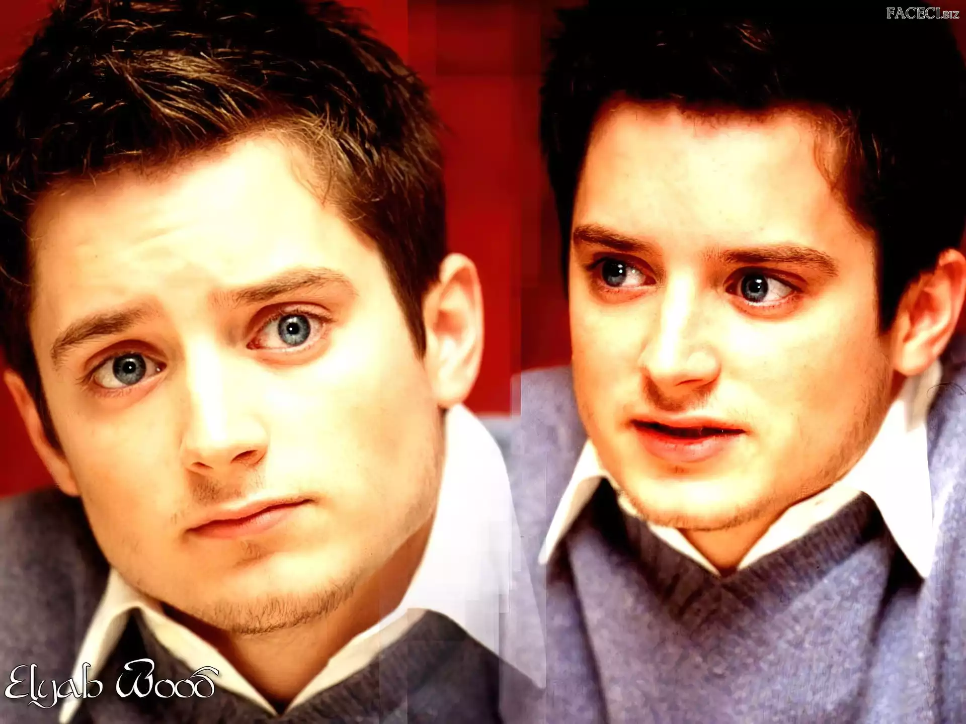 bródka, Elijah Wood, niebieskie oczy