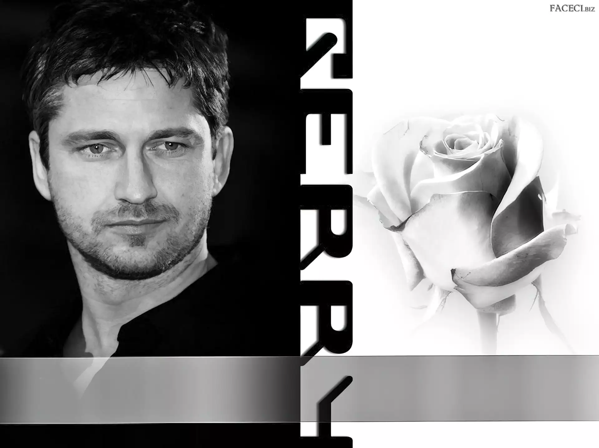 Gerard Butler, róża