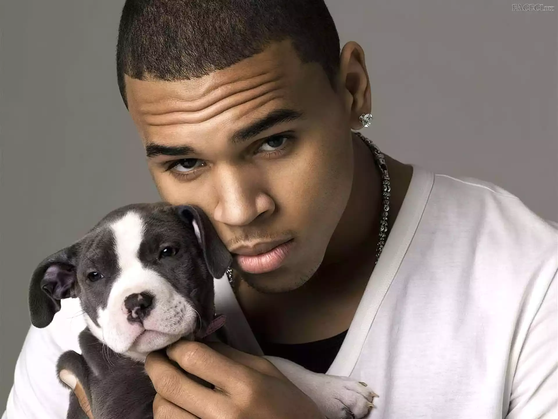 Szczeniak, Chris, Brown