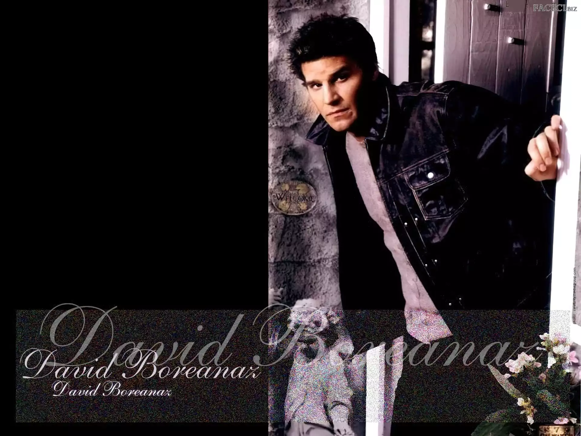 kurtka jeansowa, David Boreanaz