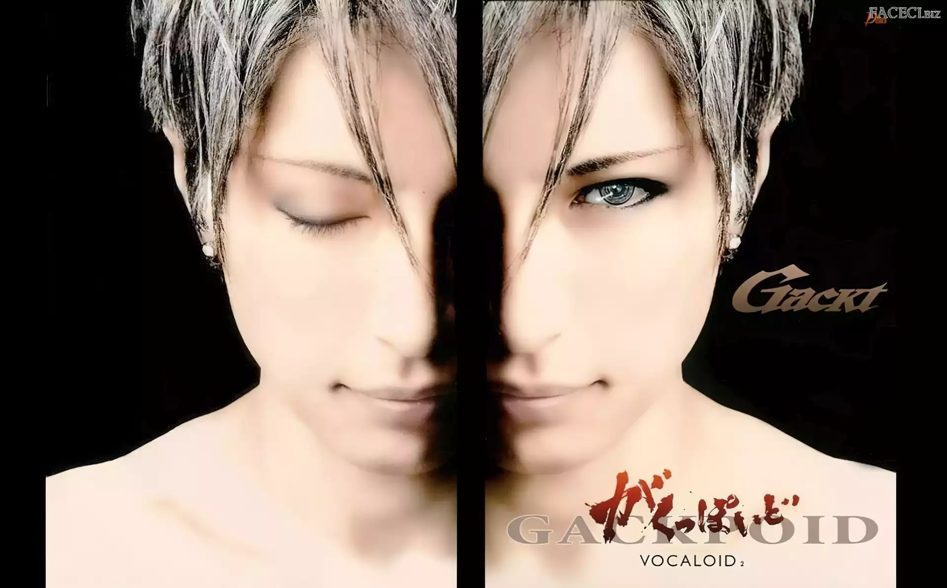 Twarzy, Gackt, Połówki