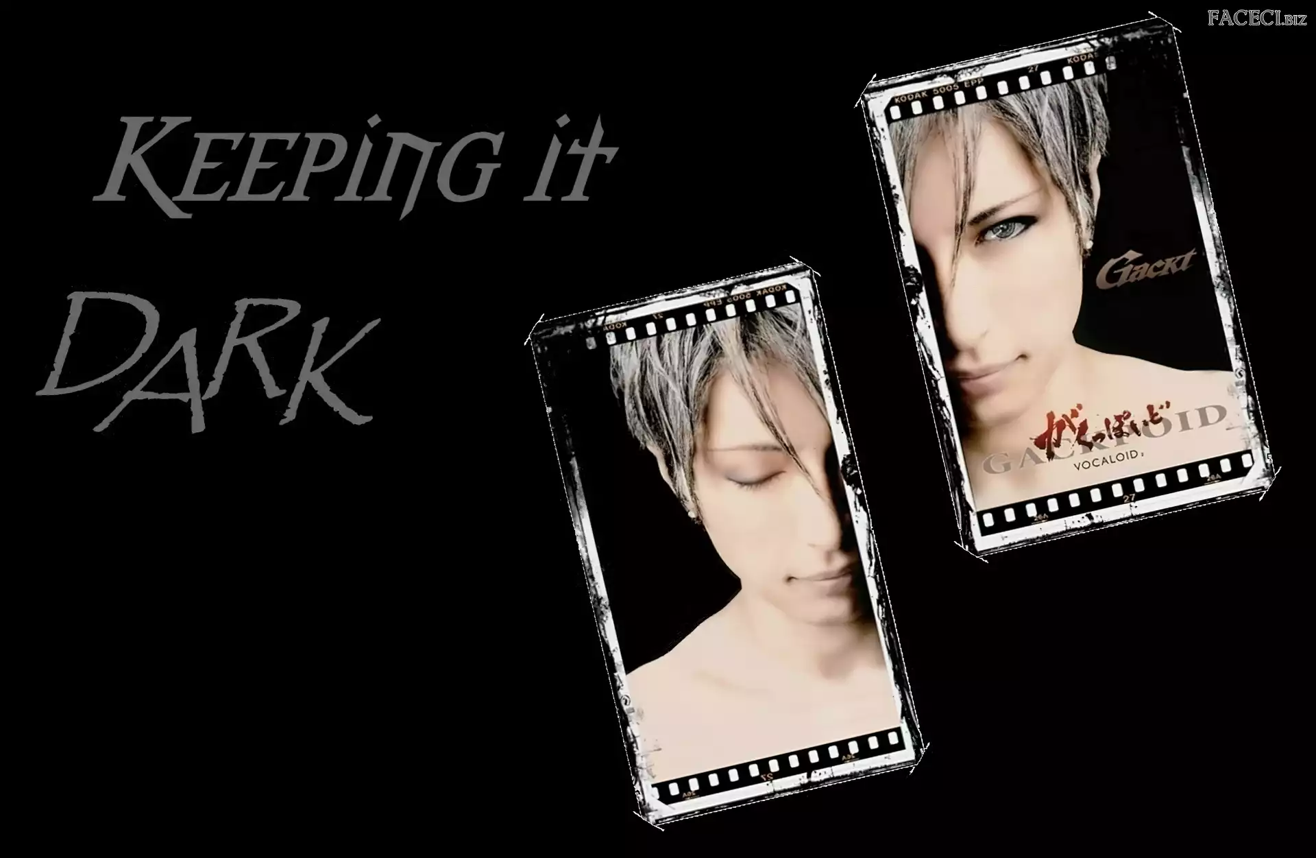 Gackt, Zdjęcia