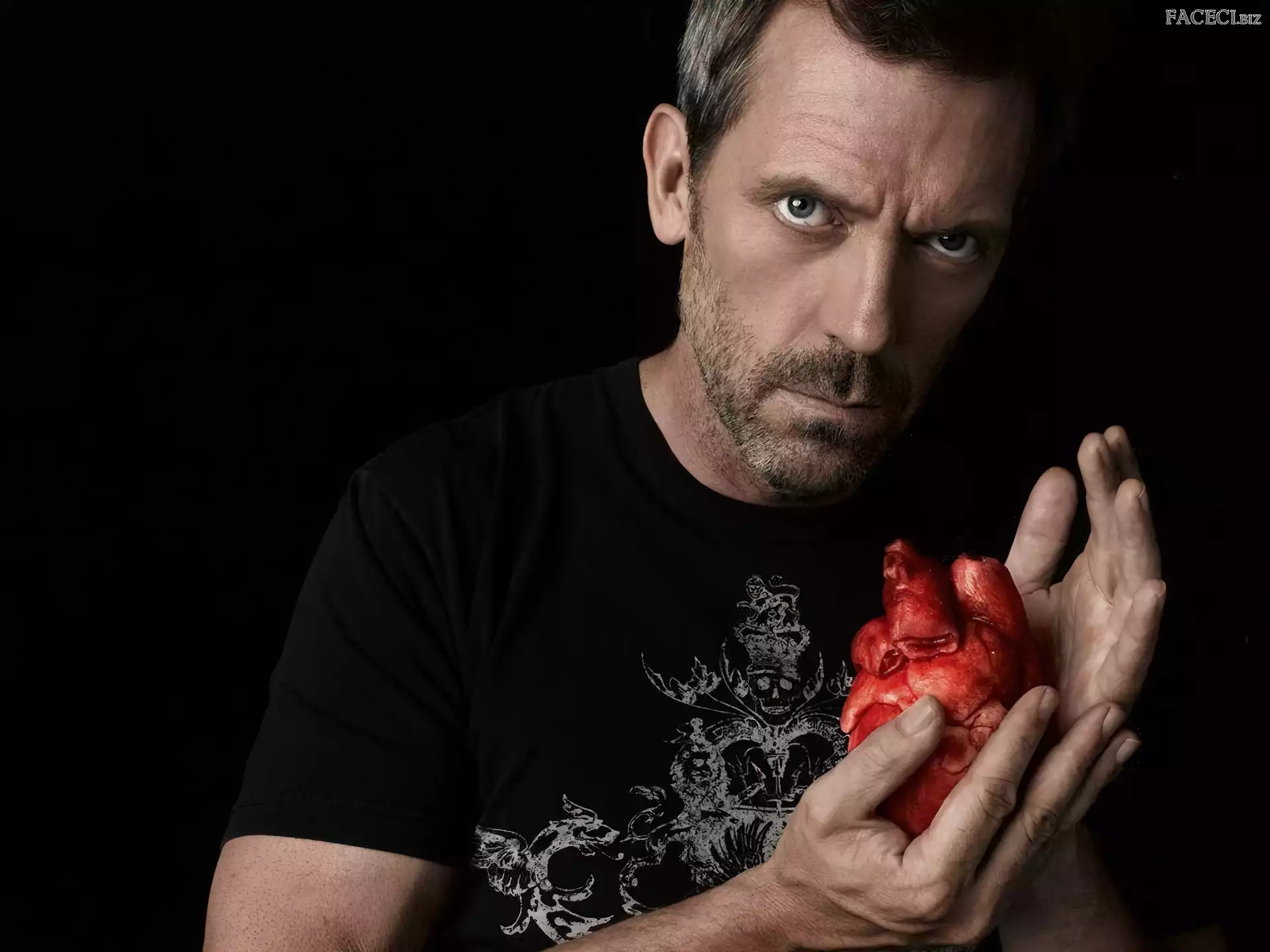 Serce, Dr. House