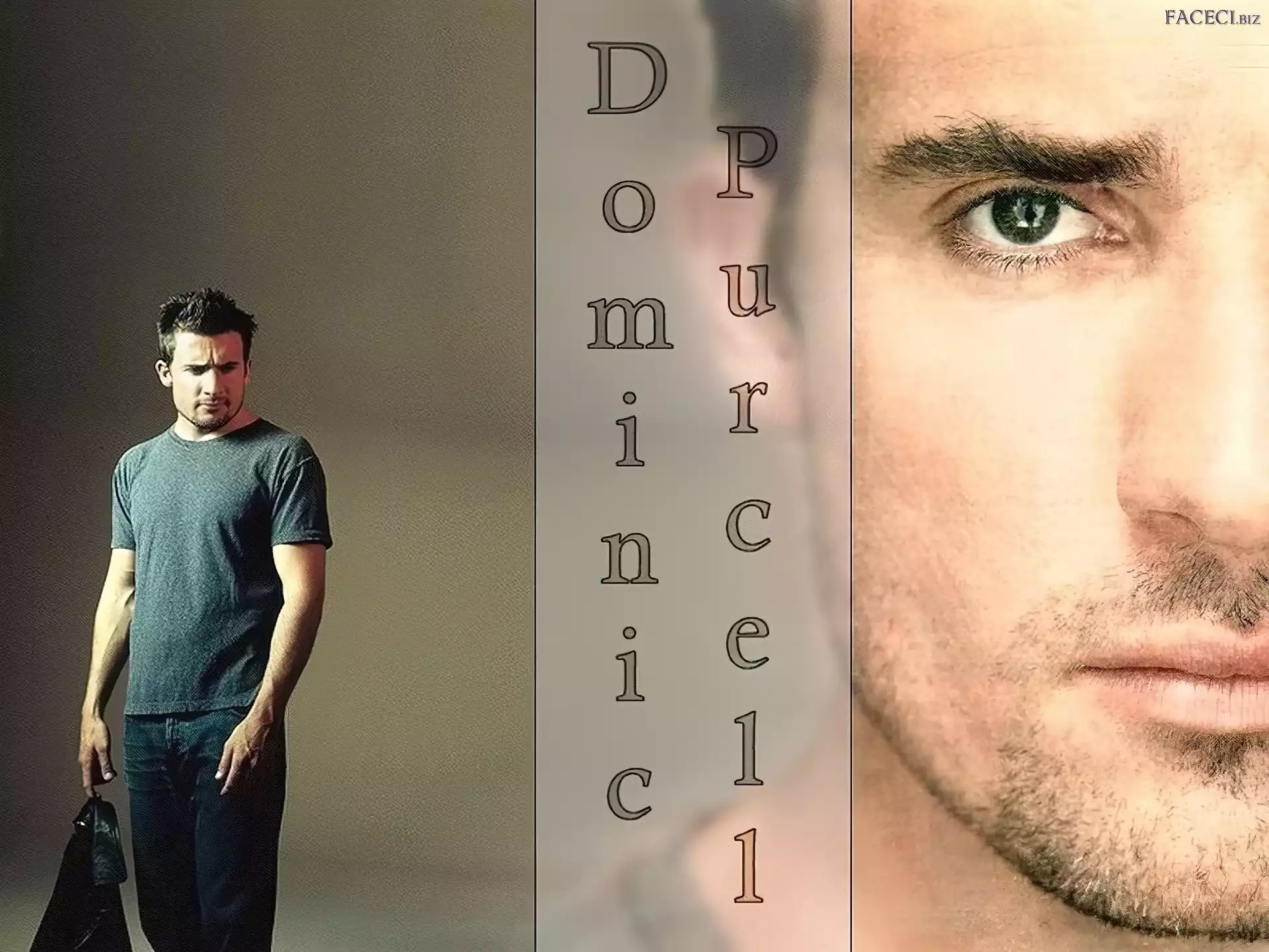 jeansy, Dominic Purcell, twarz
