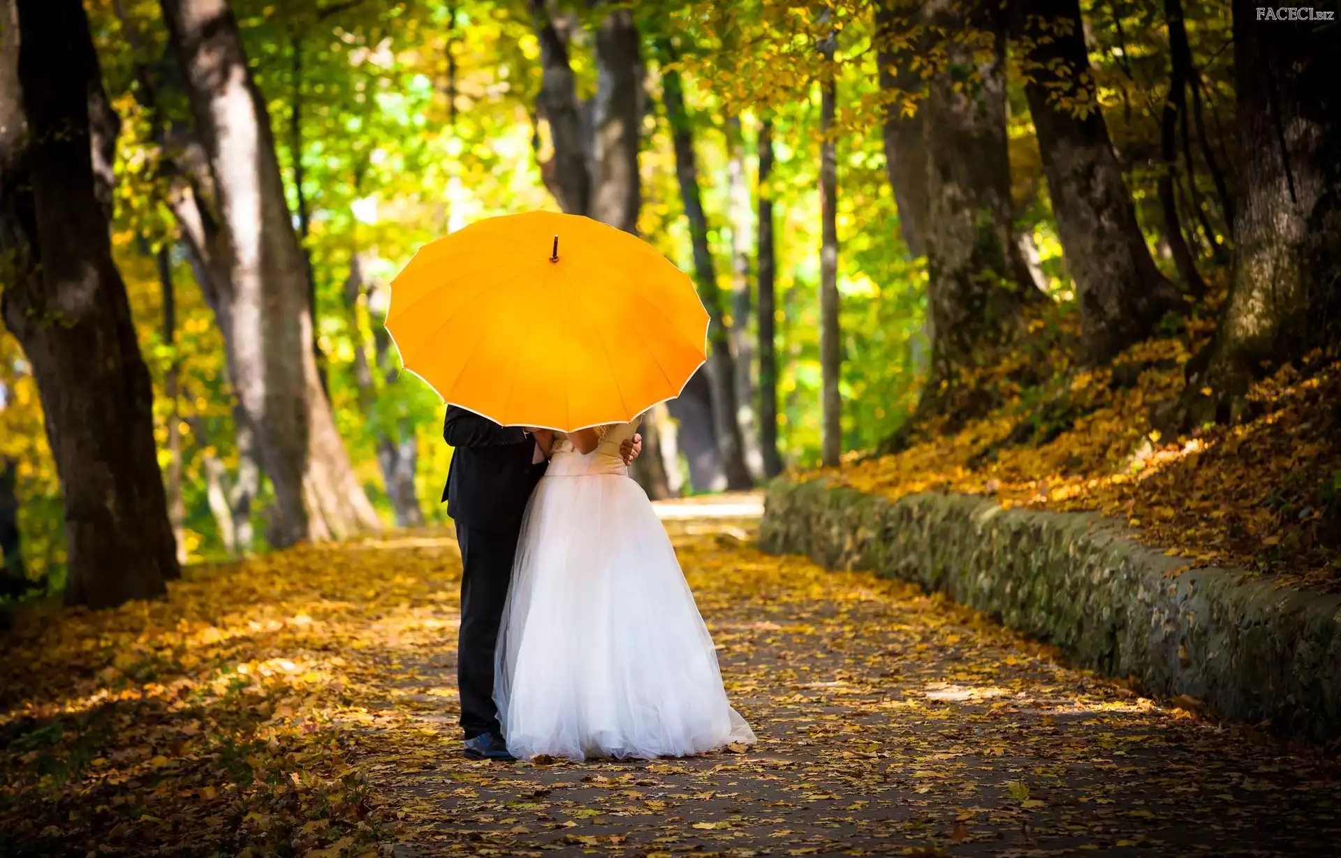 Para, Jesień, Młoda, Parasol