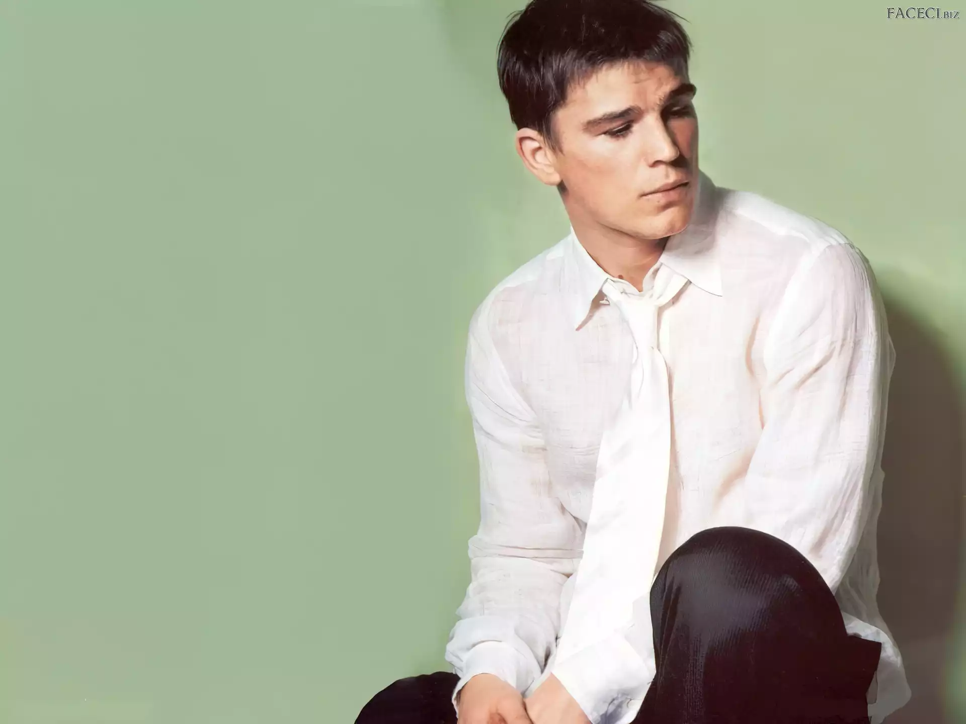 krawat, Josh Hartnett, biała koszula