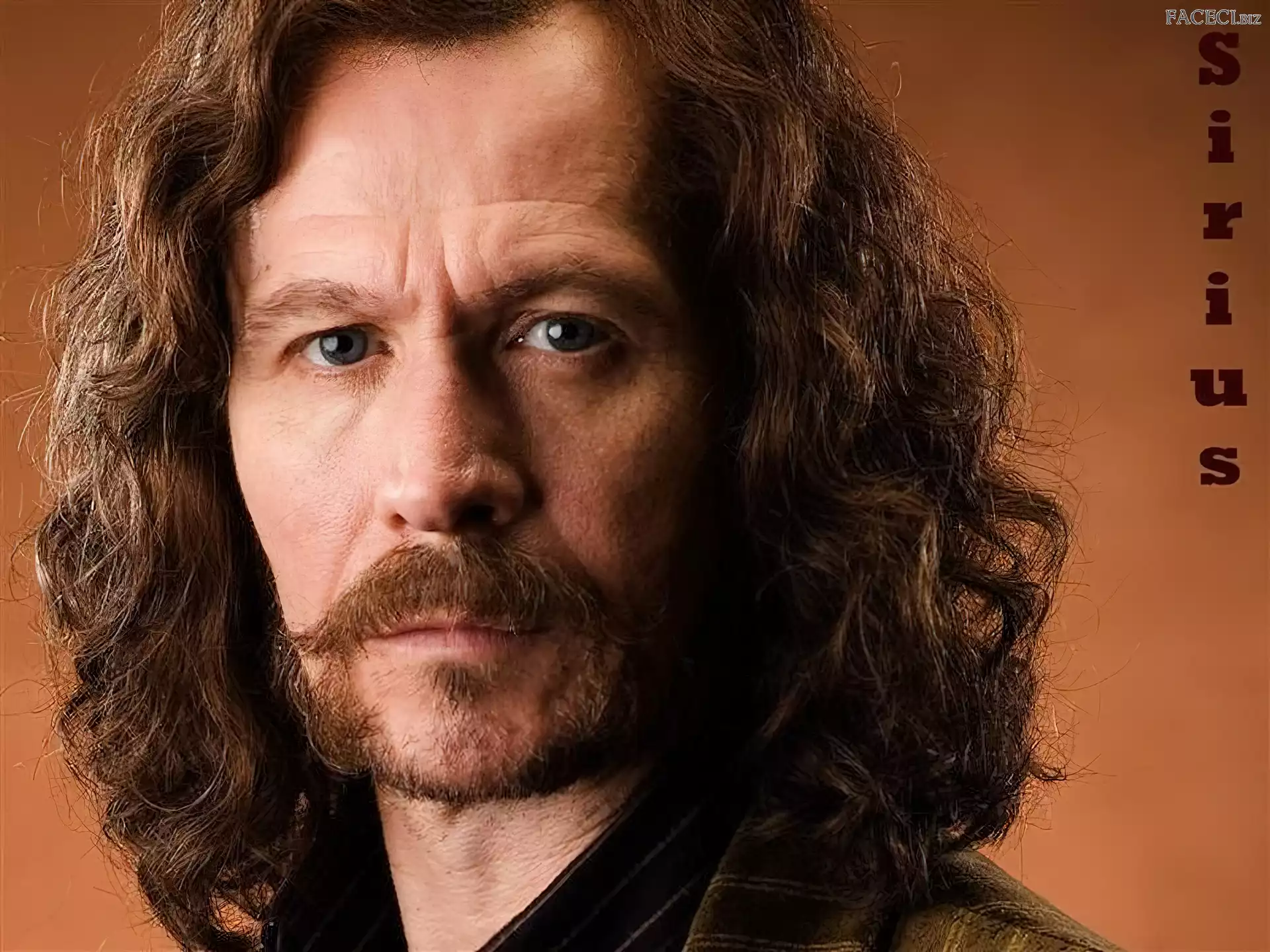 oczy, Gary Oldman, kręcone włosy