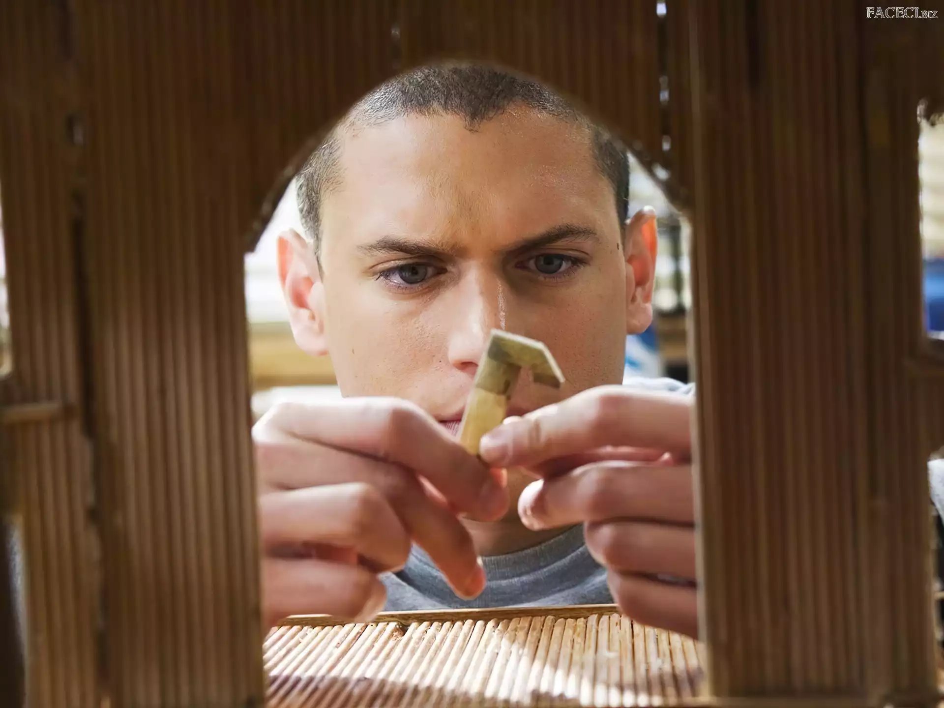 Skazany na śmierć, projekt, Prison Break, Wentworth Miller