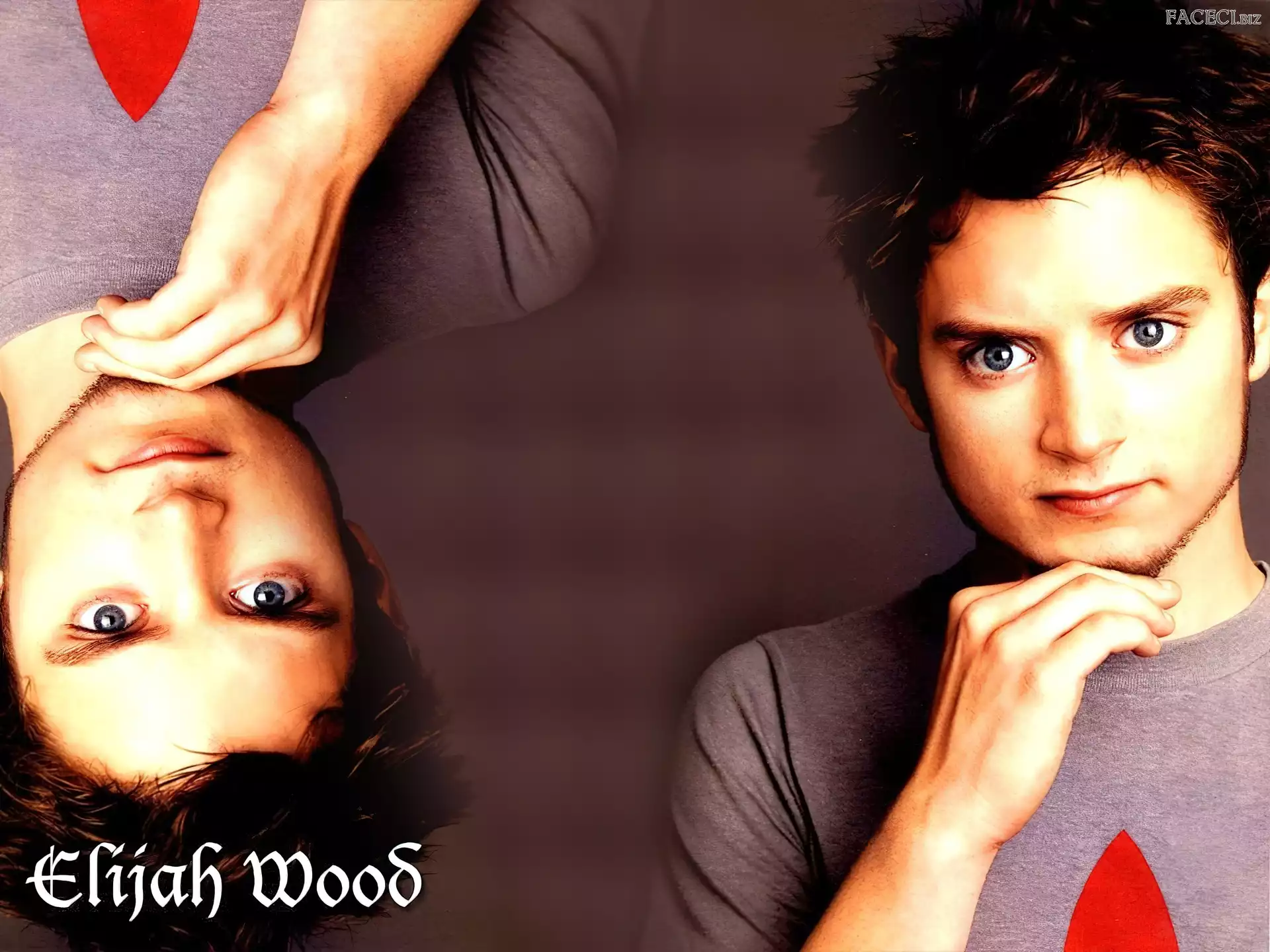 ręka, Elijah Wood, niebieskie oczy