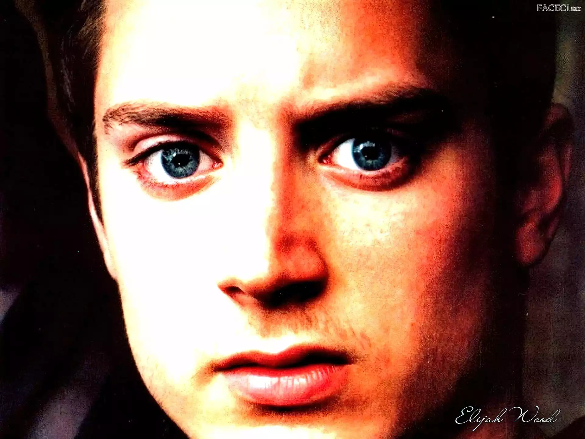 twarz, Elijah Wood, niebieskie oczy