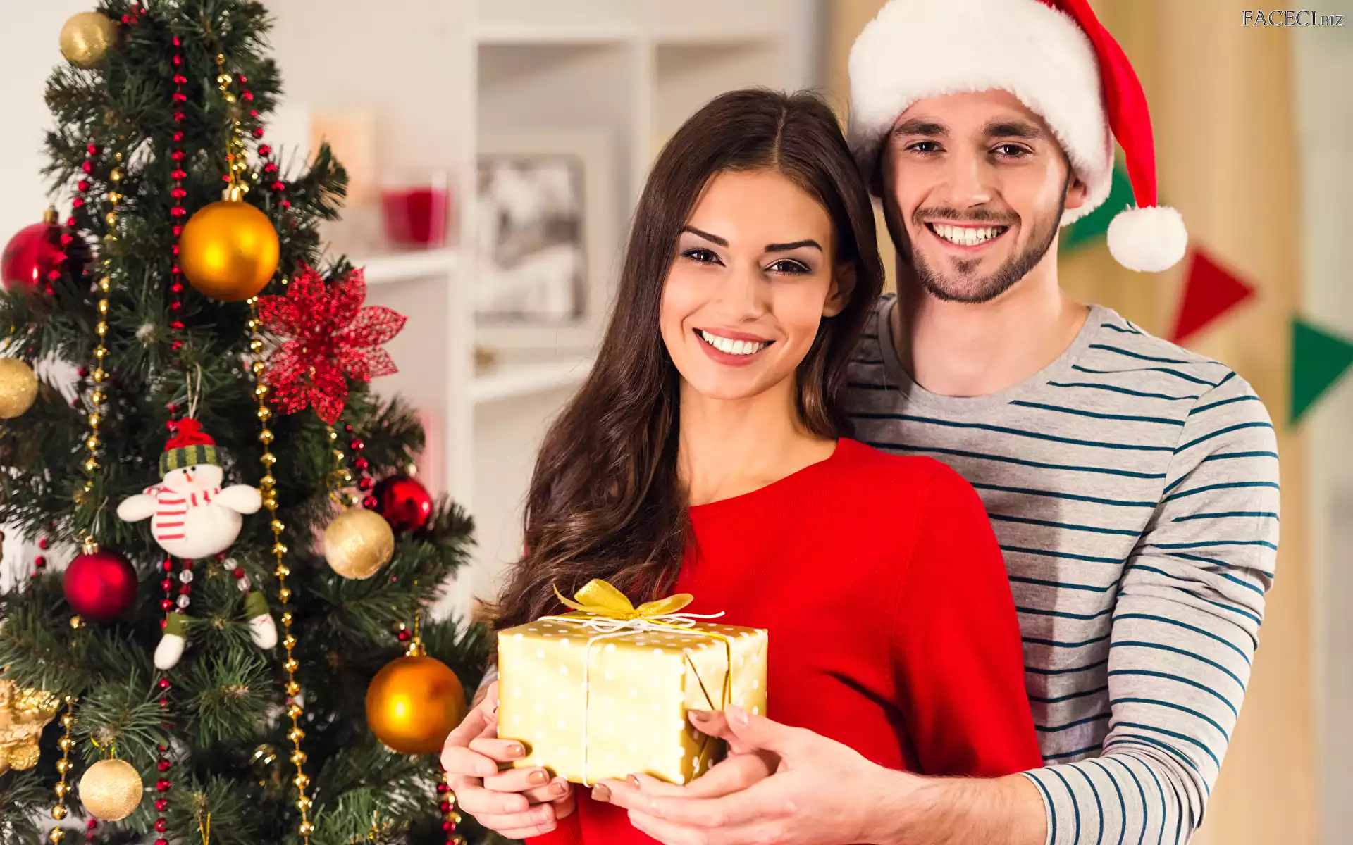 Czapka, Prezent, Uśmiech, Ręce, Boże Narodzenie, Choinka, Spojrzenie, Mężczyzna, Kobieta, Mikołaja