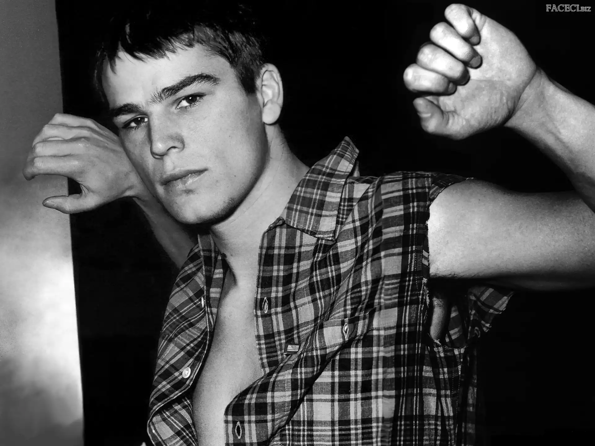 w kratę, Josh Hartnett, koszula
