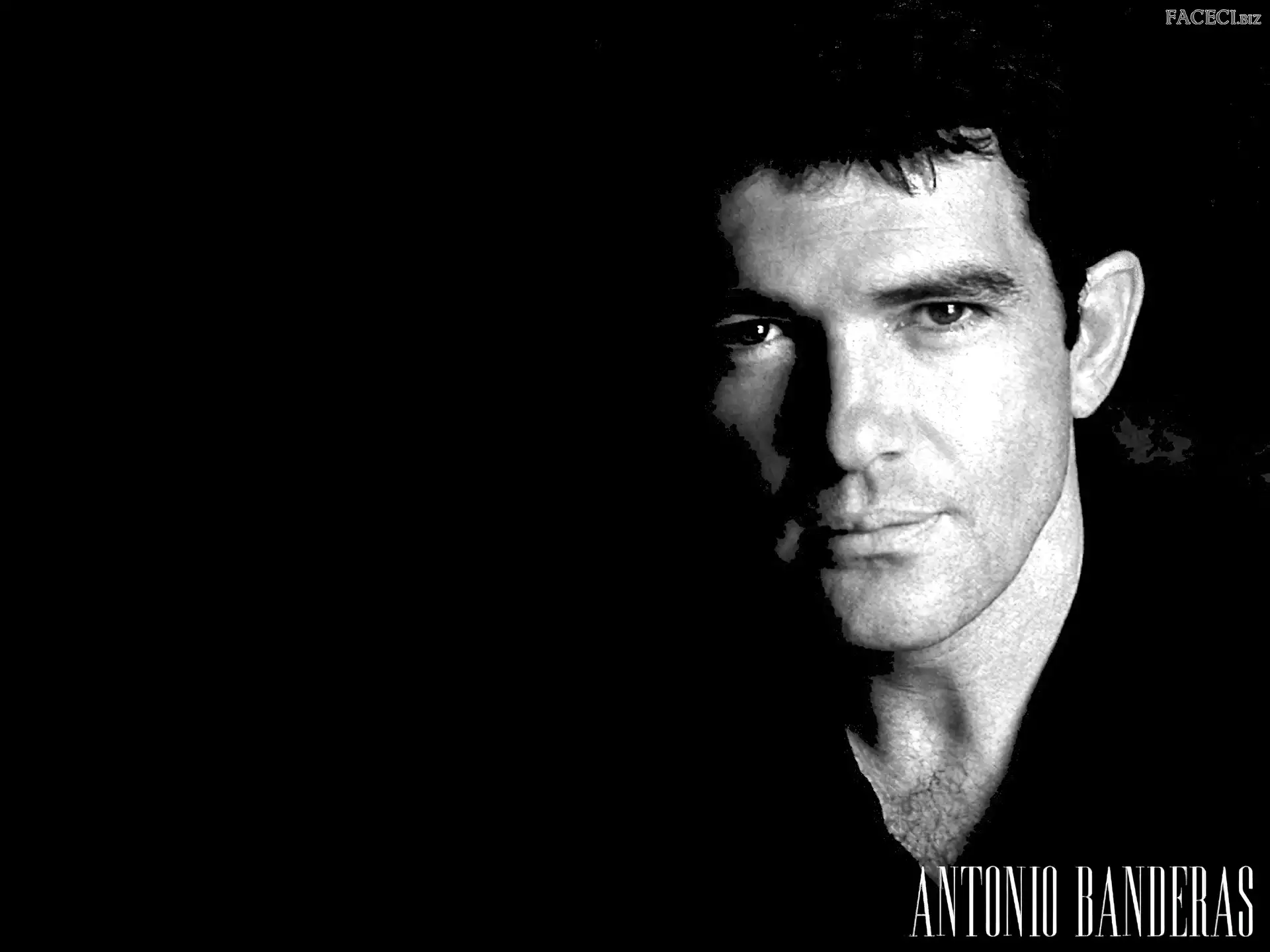 włosy, Antonio Banderas, czarne