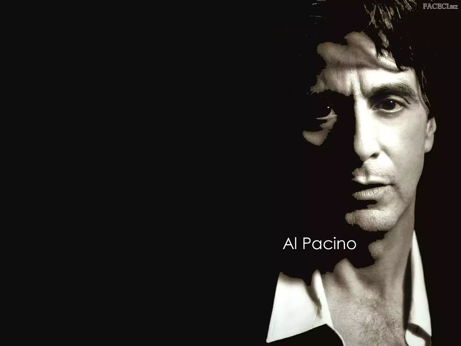 włosy, Al Pacino, ciemne