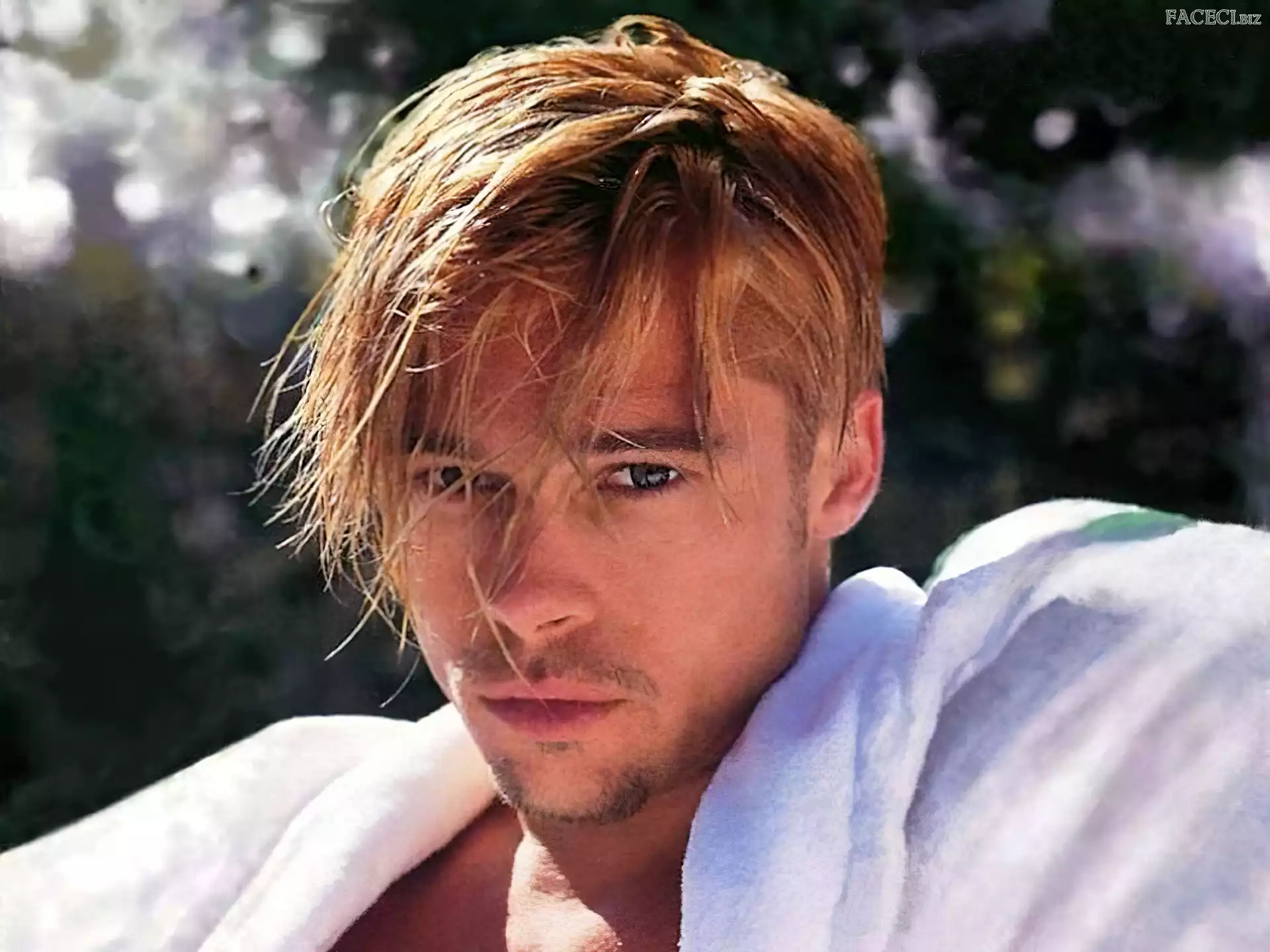 włosy, Brad Pitt, blond